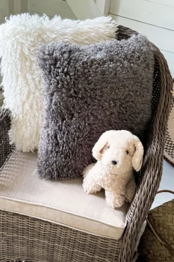 Curly mini hauva, pearly