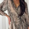 Jaqueline silkkiviskoosimekko, soft leo print