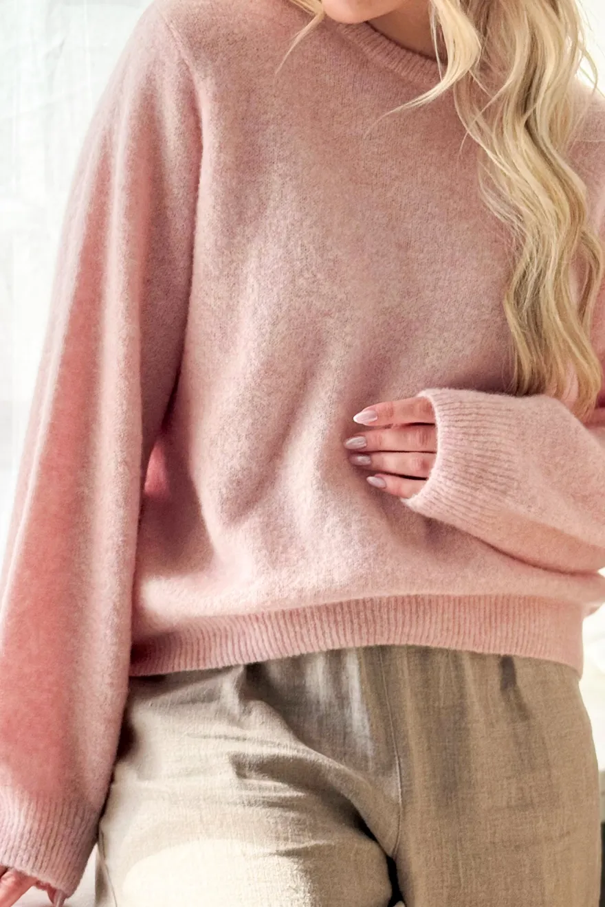 Montine neule, rose