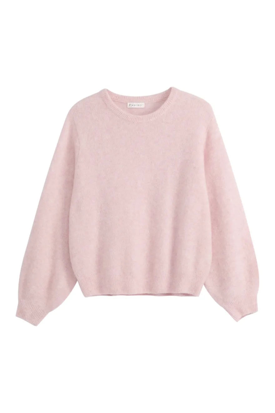 Montine neule, rose